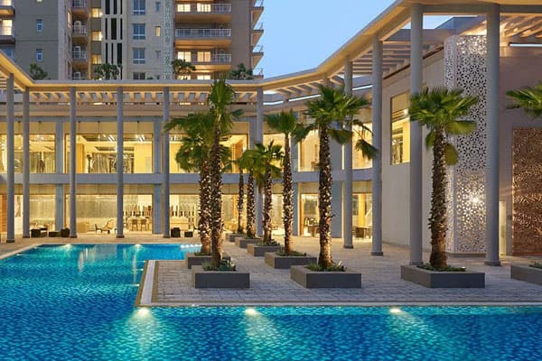 Contact Mehra Associate